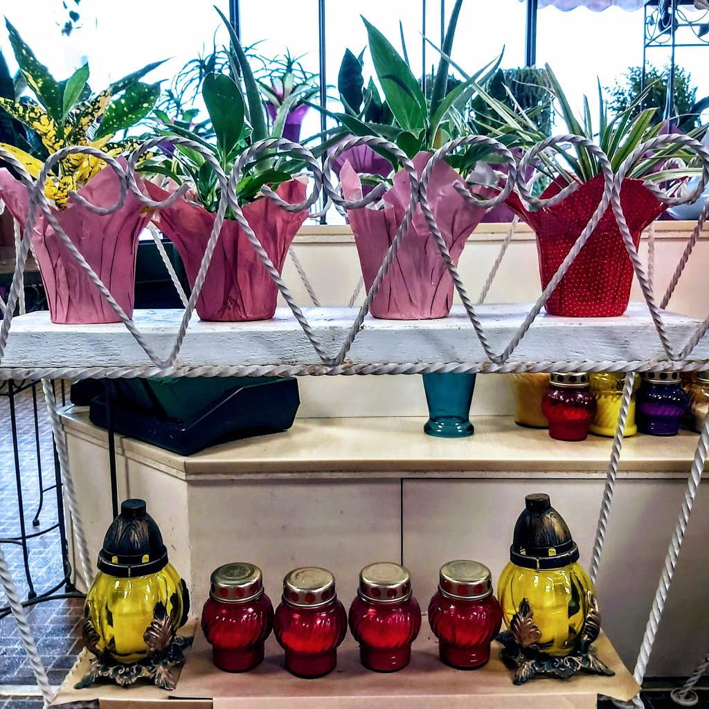 Cosmopolitan Florists | 994 Main St, Winnipeg, MB R2W 3P7, Canada | Phone: (204) 589-7359