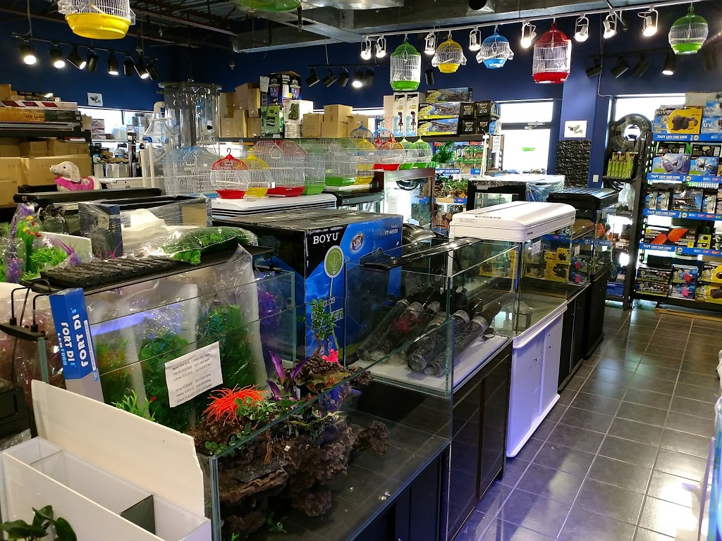 Markham Aquarium 2 U | 5 Hillcroft Dr, Markham, ON L3S 1R6, Canada | Phone: (905) 604-8895