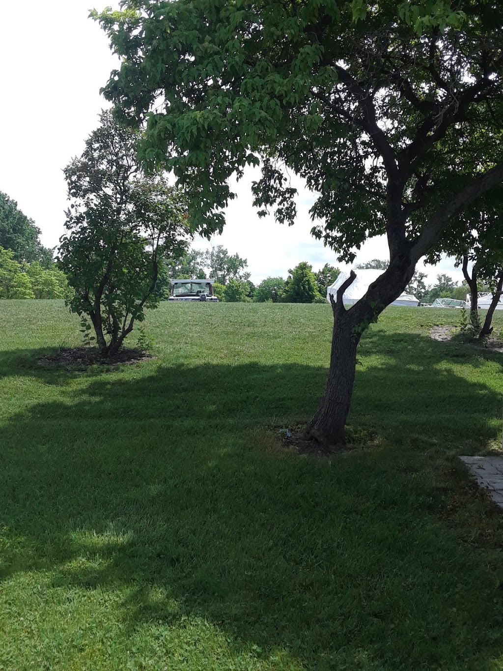 Mitchells Bay Marine Park Limited | 3 Allen Road, Dover Centre, ON N0P 1L0, Canada | Phone: (519) 354-8423