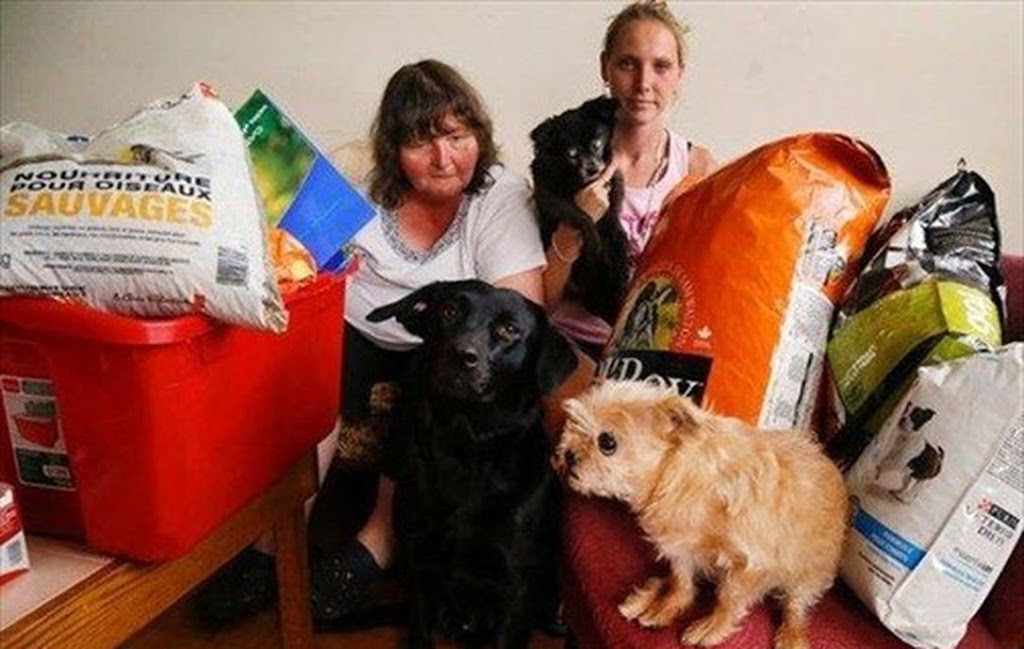 Peterborough Pet Food Bank | 438 George St S, Peterborough, ON K9J 3E3, Canada | Phone: (705) 772-3573