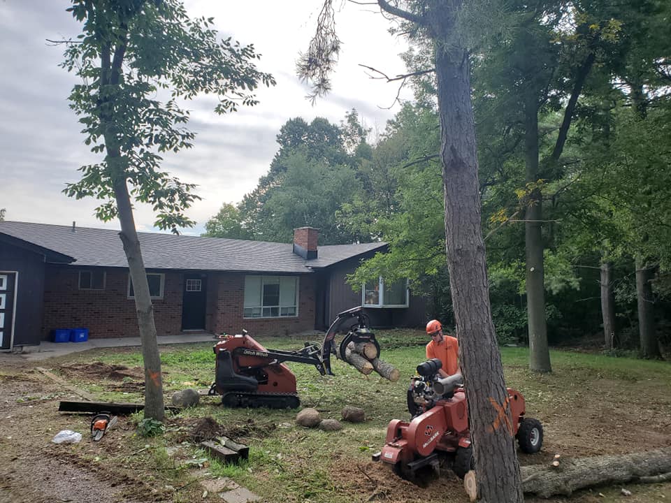 Foley Tree Service | 212 Sagers Corners Rd, Stirling, ON K0K 3E0, Canada | Phone: (613) 902-7464