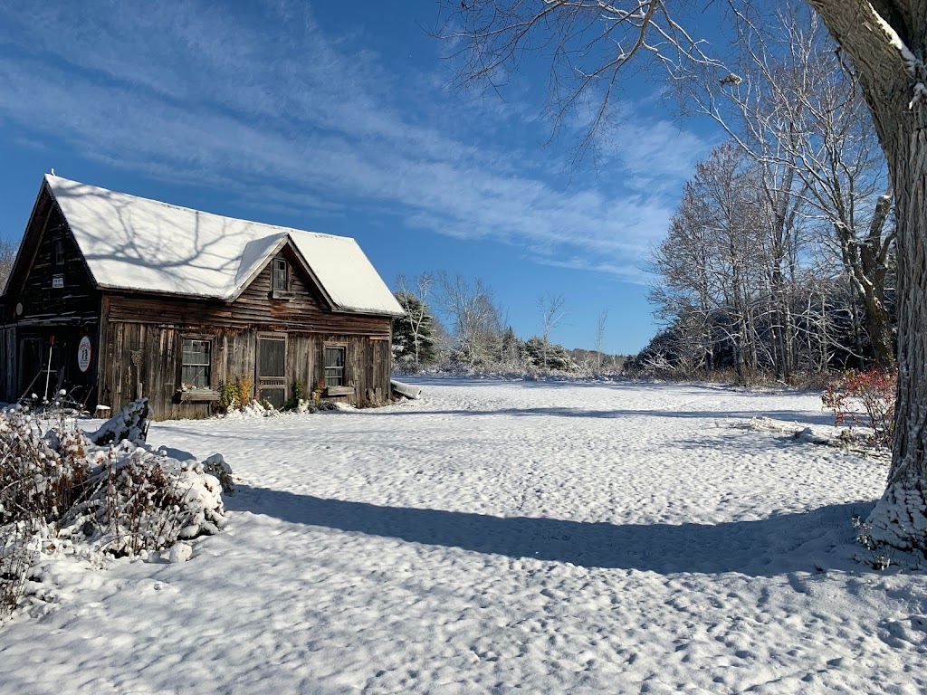 Muskoka Lodge Maple Syrup | 1410 Ziska Rd, Bracebridge, ON P1L 1W8, Canada | Phone: (705) 346-2753