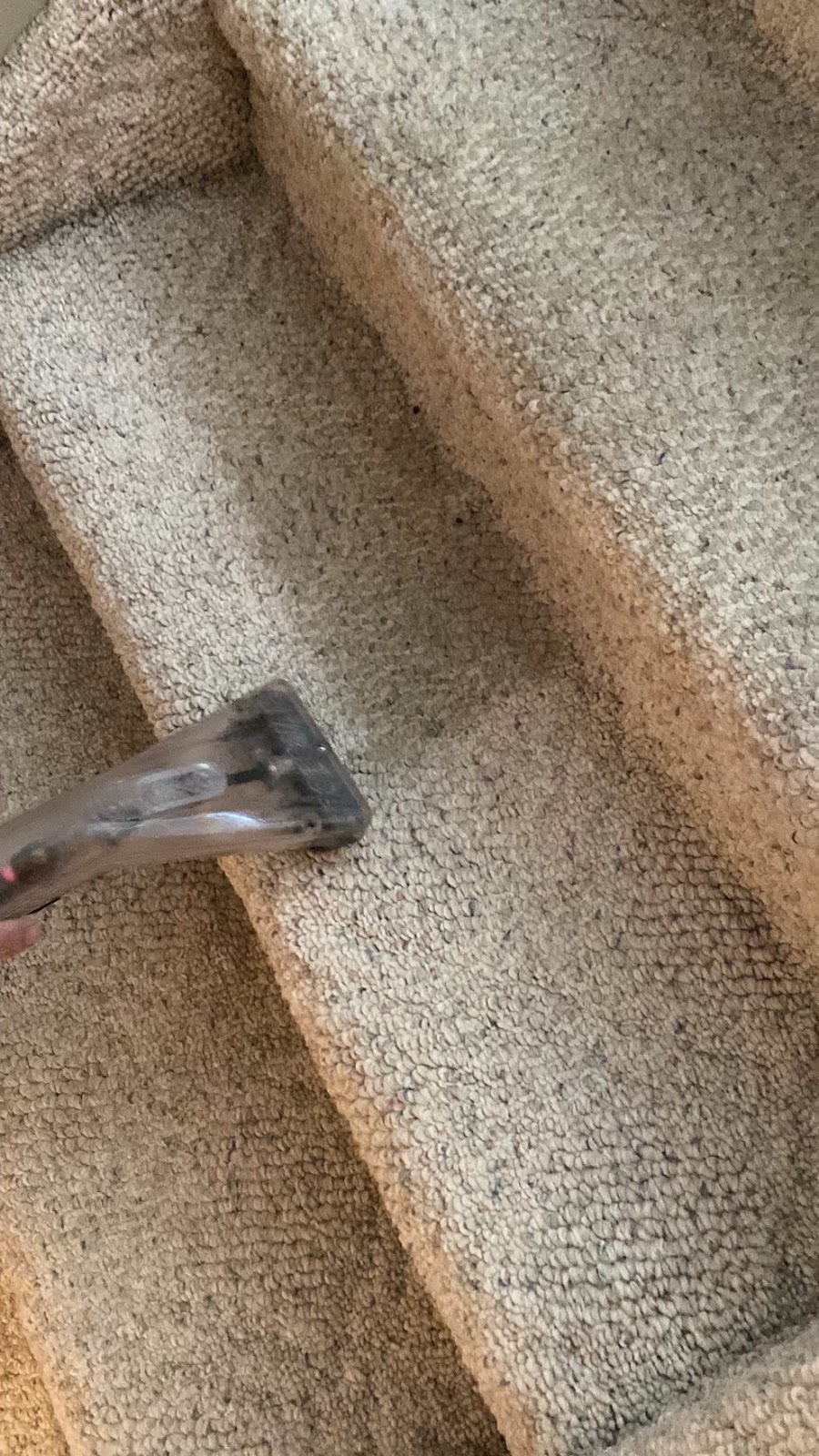 Rhino Carpet Cleaning | 551 Wilson St, Steinbach, MB R5G 0J5, Canada | Phone: (204) 381-0266
