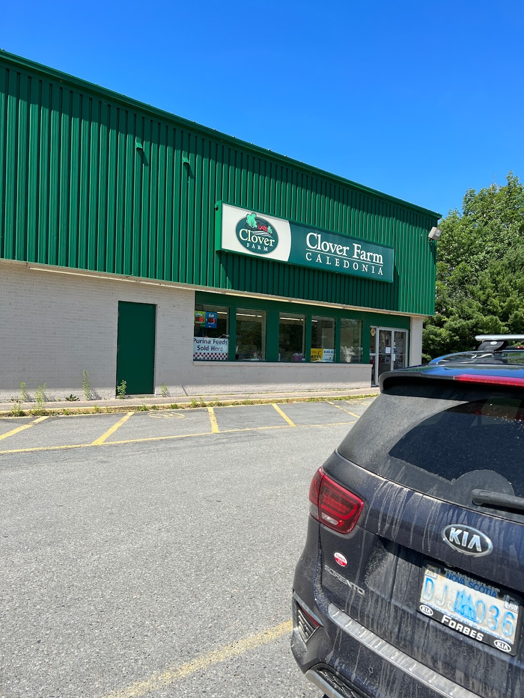 Clover Farm | 9871 Nova Scotia Trunk 8, Caledonia, NS B0T 1B0, Canada | Phone: (902) 682-2606