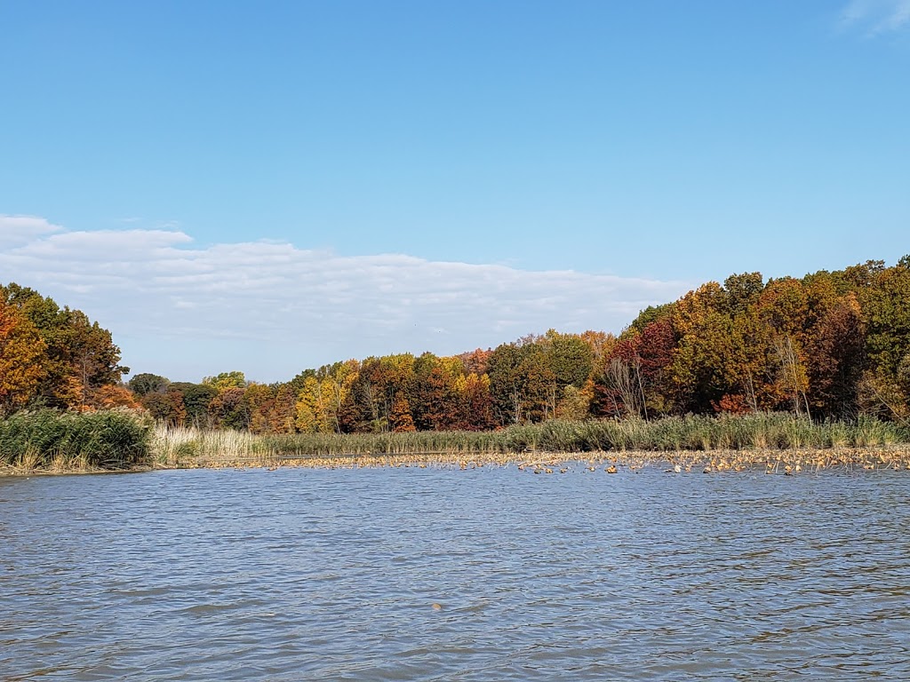 Cedar Creek Conservation Area | Essex, ON N9Y 2E6, Canada | Phone: (519) 776-5209