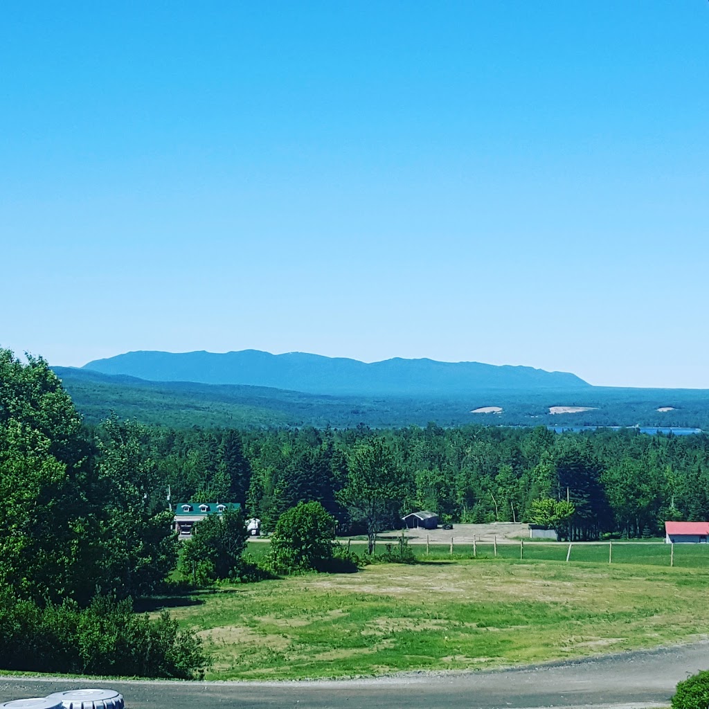 Ville De Lac Megantic | 3293 Rue Victoria, Lac-Mégantic, QC G6B 1R8, Canada | Phone: (819) 583-3507