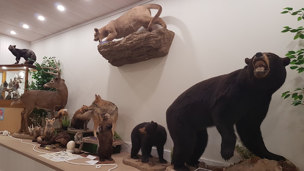 Carr’s Wildlife Center | 32 Campbellton Rd, Stanley Bridge, PE C0A 1M0, Canada | Phone: (902) 886-3355