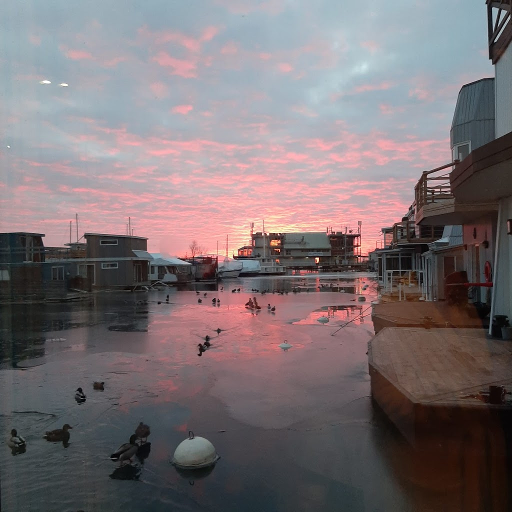 Toronto Floating Homes | 7 Brimley Rd S, Scarborough, ON M1M 3W3, Canada | Phone: (437) 221-4692