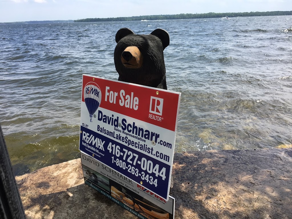 David Schnarr Sales Rep Re/Max Realty Specialists Inc. Brokerage | 194 W Bay Blvd, Kirkfield, ON K0M 2B0, Canada | Phone: (416) 727-0044