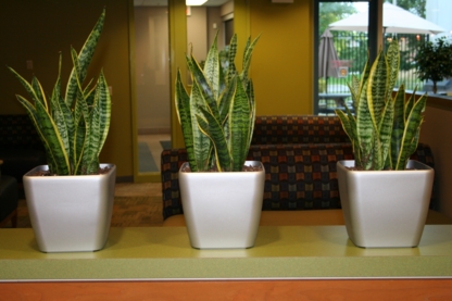 Plant Care Inc | 30 Ritter Crescent, Unionville, ON L3R 4K5, Canada | Phone: (905) 479-8887