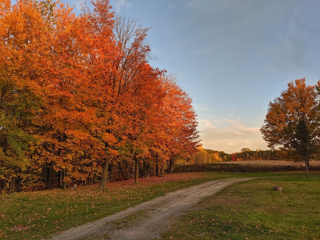 Camping Bellerose | 7280 4 Rg, Saint-Hyacinthe, QC J2R 2E3, Canada | Phone: (450) 799-5169