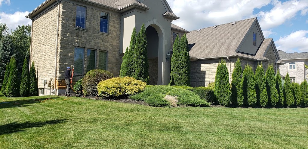 Reach Cleaning | 535 Margaret St, Cambridge, ON N3H 3X6, Canada | Phone: (226) 979-5017