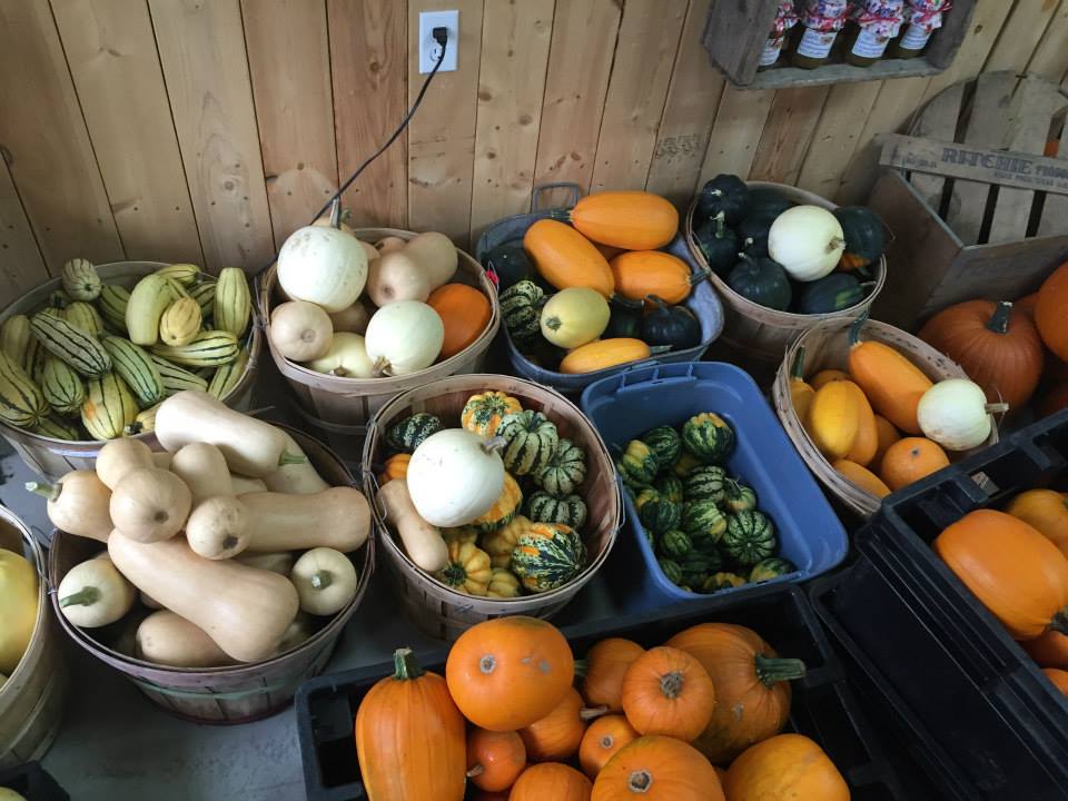 La fermette du paysan | 187 Rue Hervé, Saint-Amable, QC J3V 6P4, Canada | Phone: (450) 338-6868