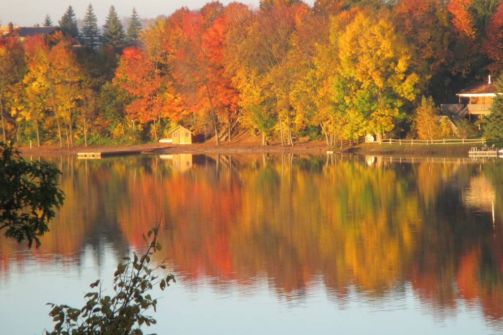 Silver Lake Tent & Trailer Park | 56 Silver Lake Road, R.R#2, Holyrood, ON N0G 2B0, Canada | Phone: (519) 395-3330