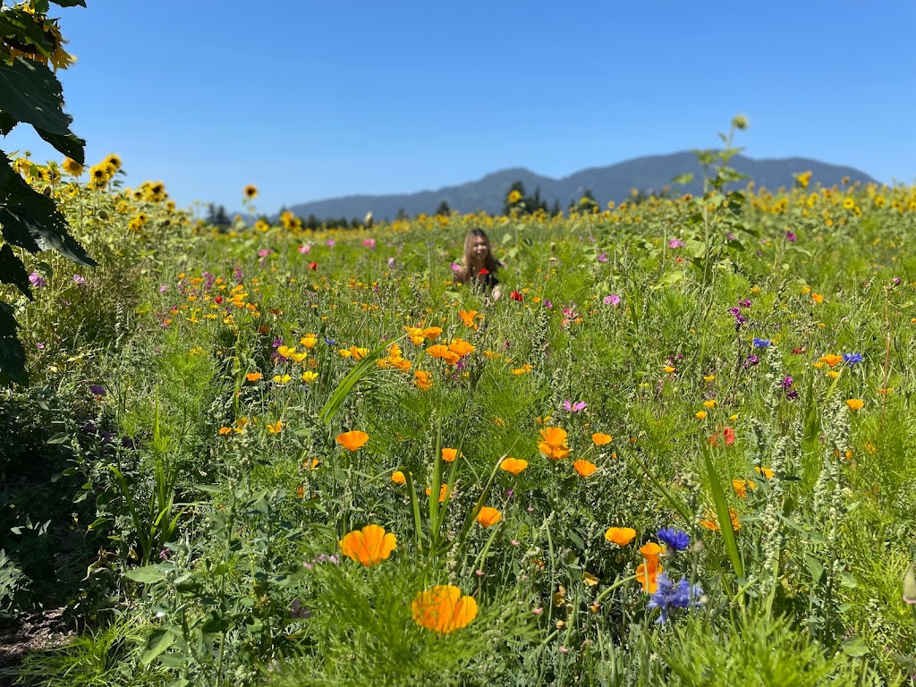 Cultus Lake Flower Fest | 4215 Wilson Rd, Chilliwack, BC V2R 5H4, Canada | Phone: (604) 798-7332