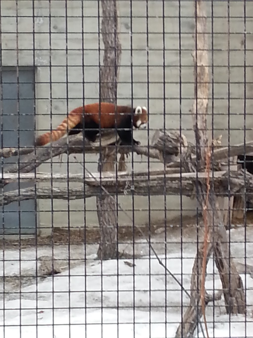 Toucan Ridge | Assiniboine Park, Winnipeg, MB R3P 2N7, Canada