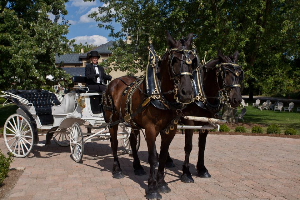 Nithridge Estate Weddings & Events | 180-B Nith River Wy, Ayr, ON N0B 1E0, Canada | Phone: (519) 632-1234