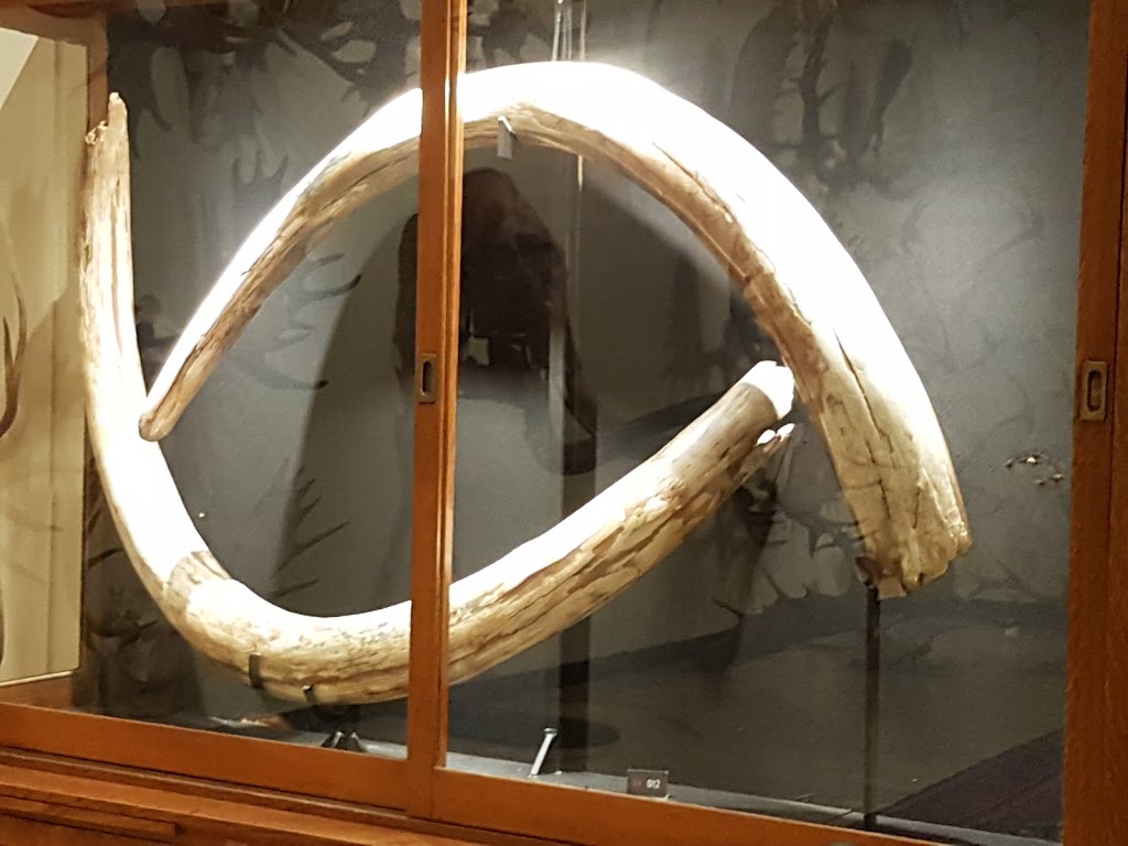 Hand of Man Museum | 6759 Considine Ave, Duncan, BC V9L 5X2, Canada | Phone: (888) 826-1011