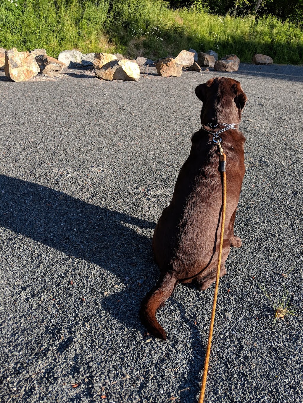 Boulderwood Hill Park | 3G5, Bear Wood Ct, Victoria, BC V8Y 3G5, Canada