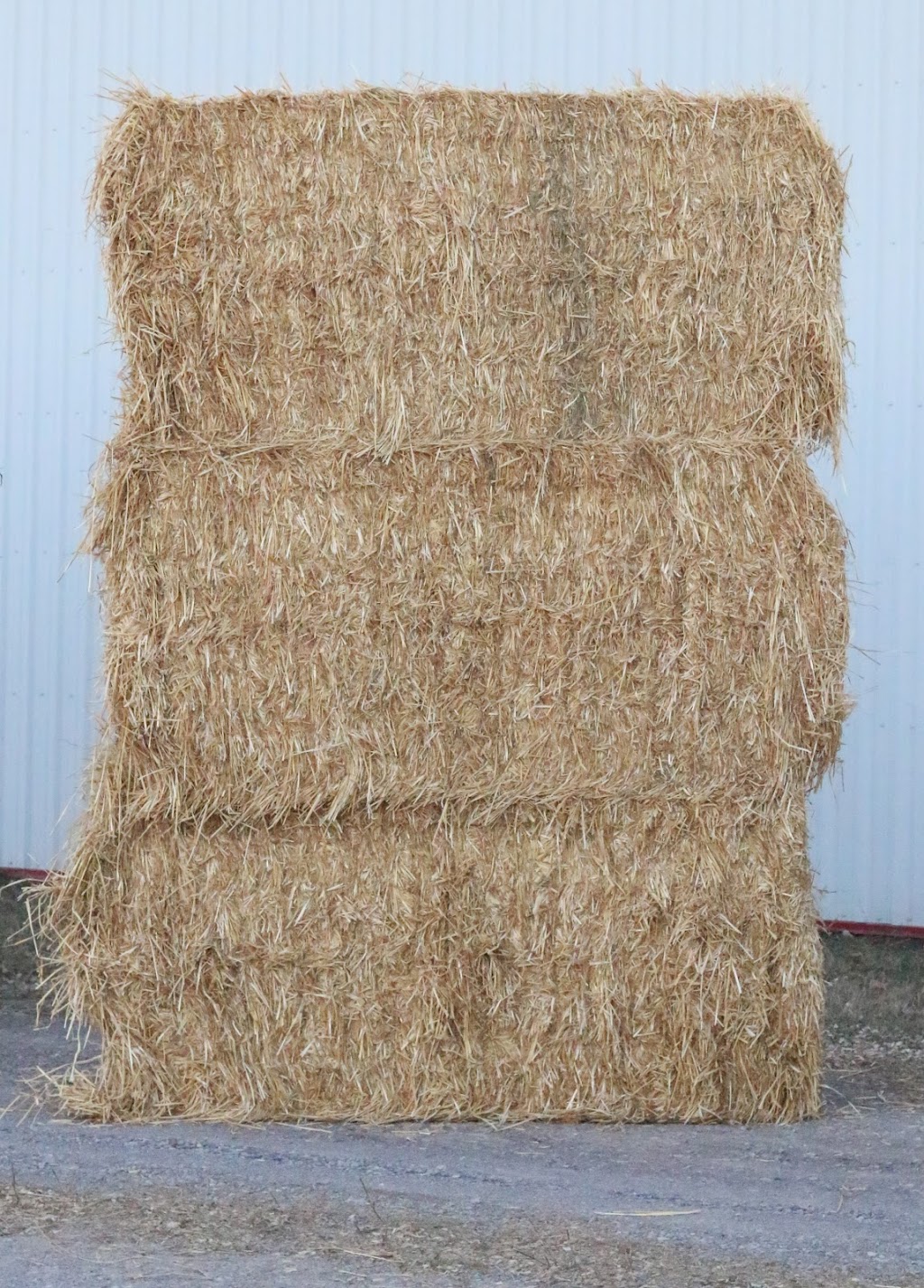 Glen Isle Ag. | 15 McCallum Pl, Keene, ON K0L 2G0, Canada | Phone: (705) 295-4487