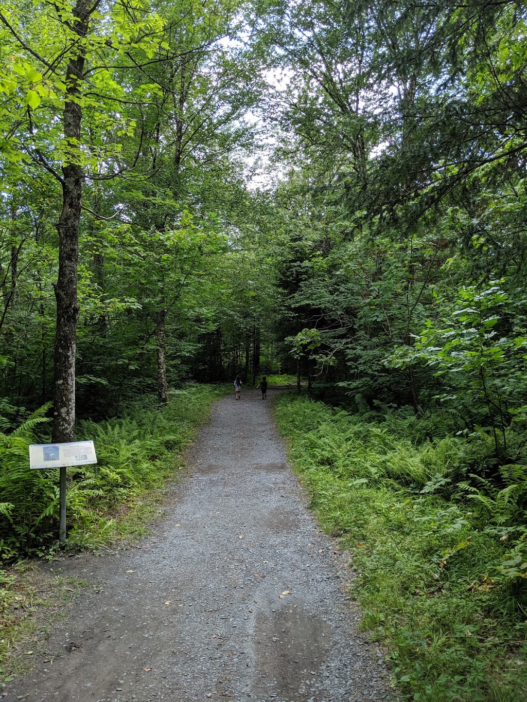Parc des Sept-Chutes | 570 25e Av, Saint-Georges, QC G5Z 1G7, Canada | Phone: (418) 228-8151