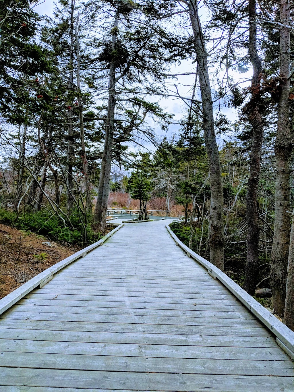 Chamberlains Park | Topsail Rd, Conception Bay South, NL A1W 4A6, Canada