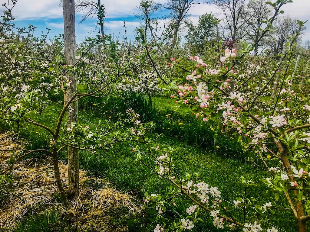 Peninsula Acres | 1097 Hwy 6, South Bruce Peninsula, ON N0H 2T0, Canada | Phone: (519) 377-2942