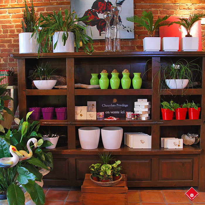 The Flower Pot | 2600 Av Pierre-Dupuy #503, Montréal, QC H3C 3R6, Canada | Phone: (514) 938-1234
