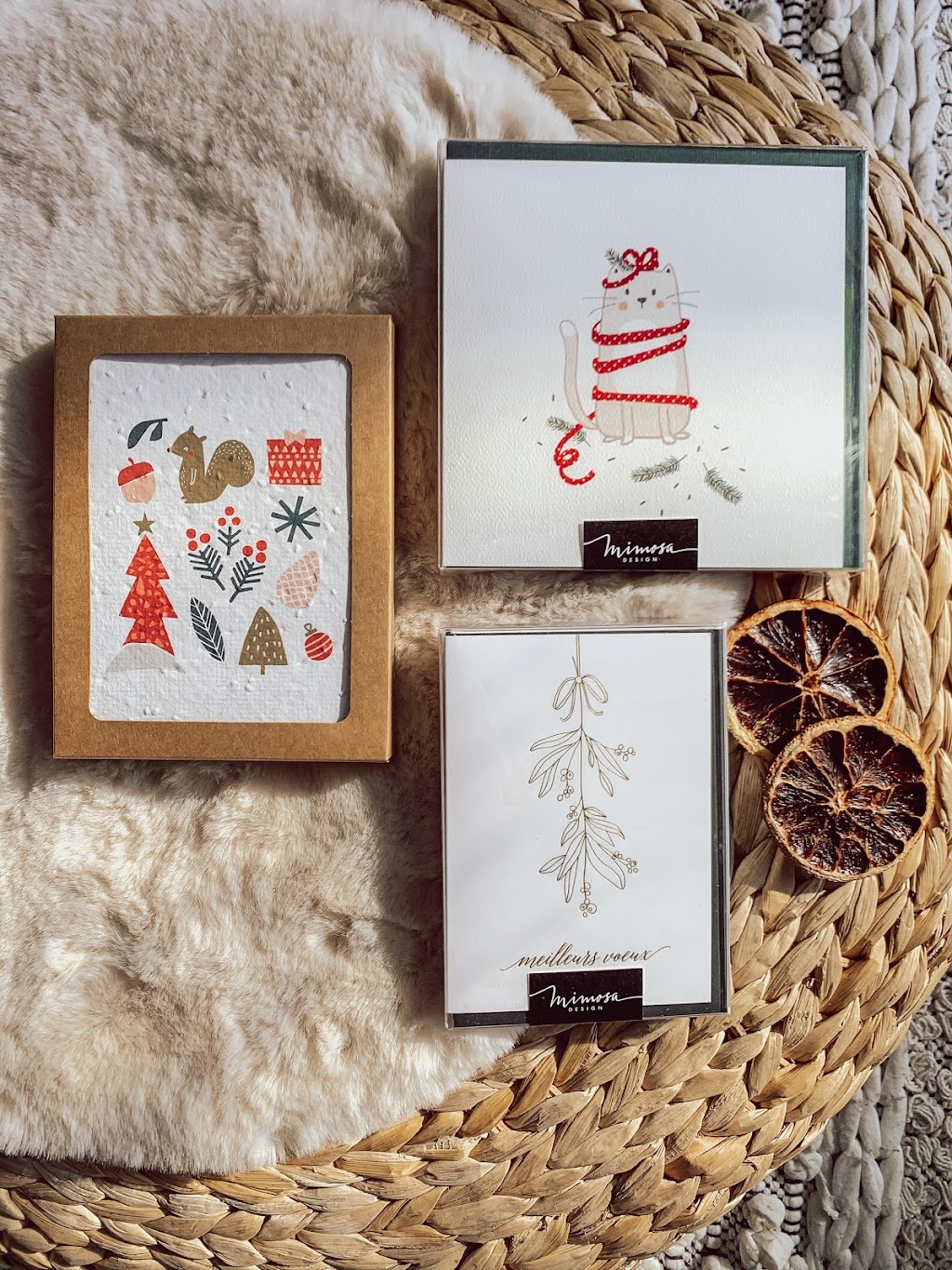 Mimosa design inc. | 295 Rue Notre Dame, Boischatel, QC G0A 1H0, Canada | Phone: (418) 809-1449