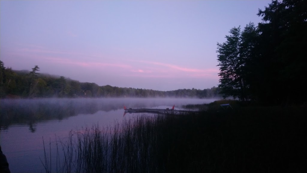 Teddy Bear Bed & Breakfast | LAmable, ON K0L 2L0, Canada | Phone: (613) 332-4678