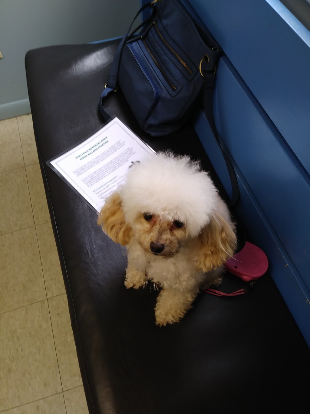 Marysville Veterinary Clinic | 1273 Gratiot Blvd, Marysville, MI 48040, USA | Phone: (810) 388-8800