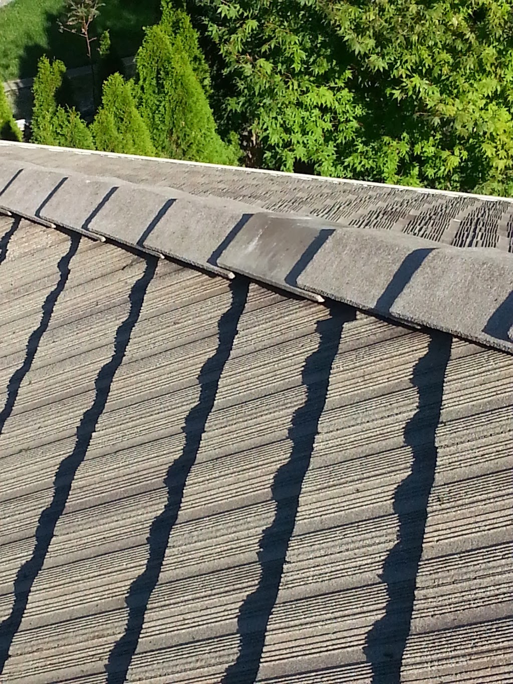 Benchmark Cleaning Services | 8615 147a St, Surrey, BC V3S 6R6, Canada | Phone: (778) 239-6590