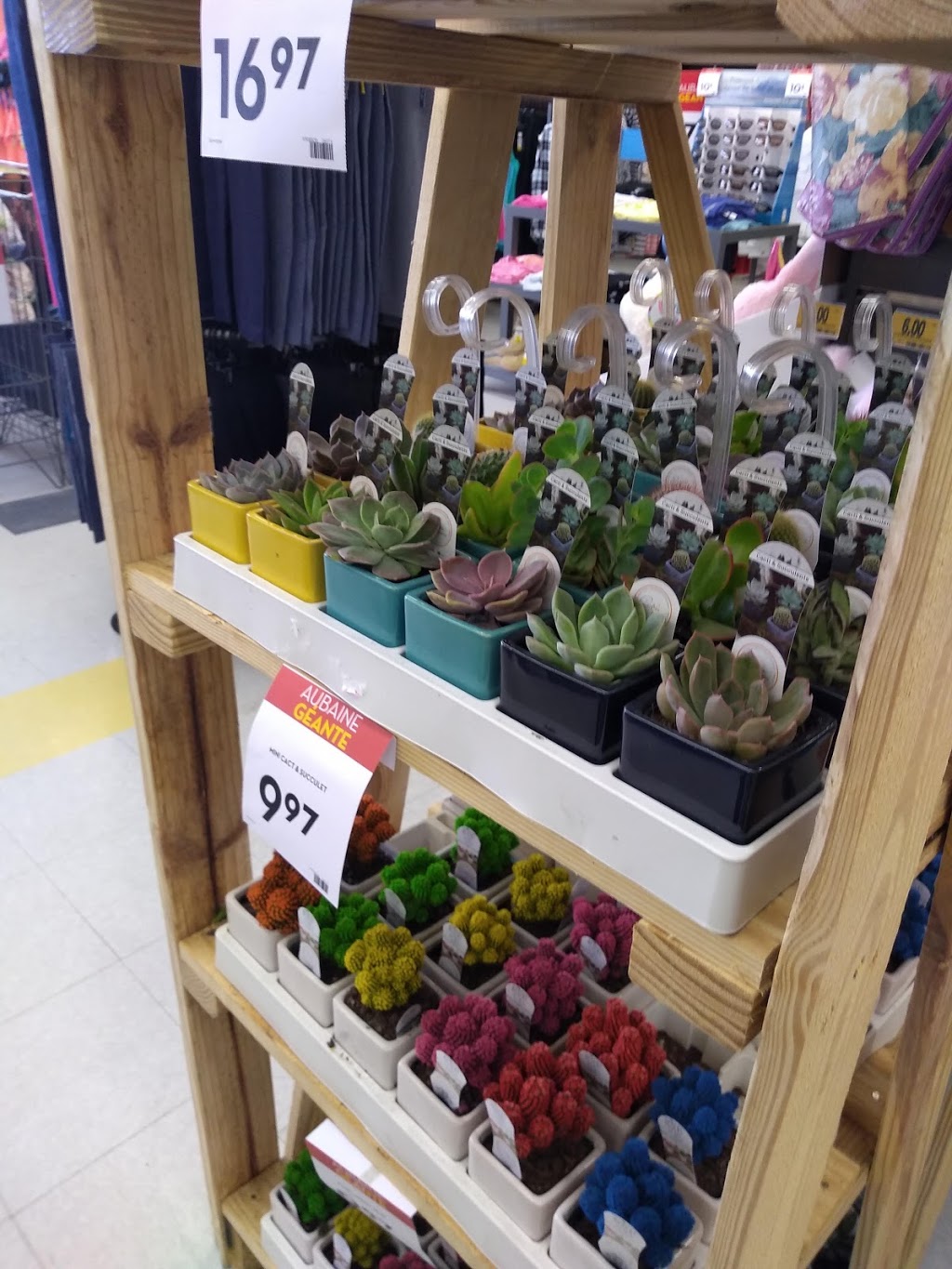 Tigre Géant | 25 Rue Wellington, Coaticook, QC J1A 2H6, Canada | Phone: (819) 849-7443