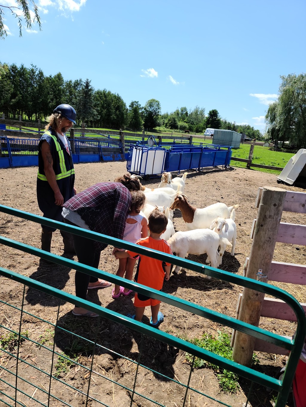 Graham Creek Farm | 3582 Morgans Rd, Newcastle, ON L1B 1L9, Canada | Phone: (416) 524-4242