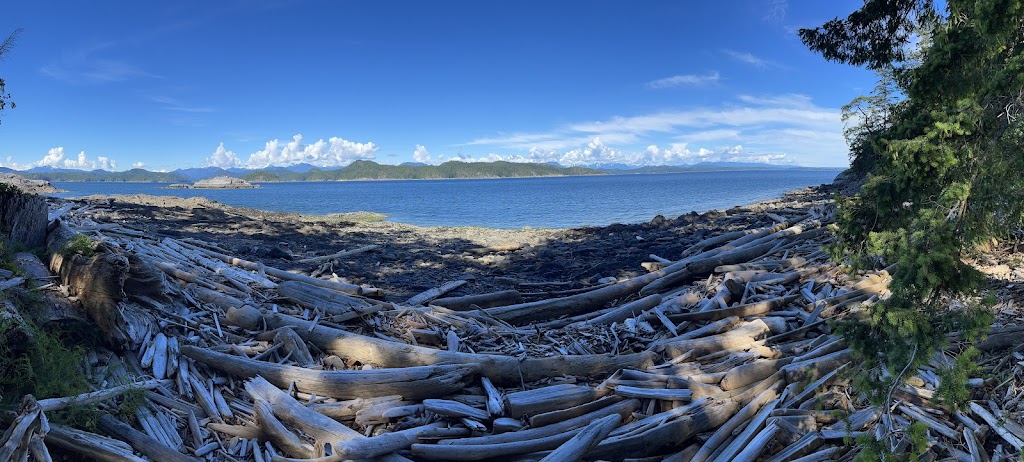 Quadra Island Kayaks | 615 Taku Rd, Heriot Bay, BC V0P 1H0, Canada | Phone: (250) 285-3400