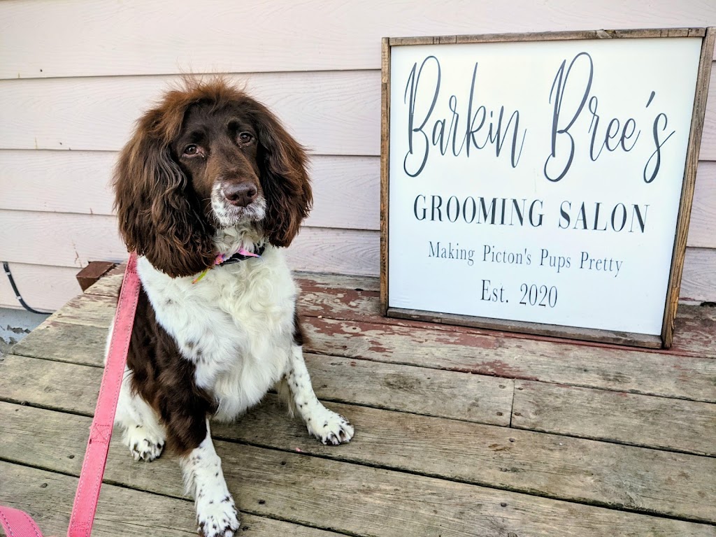 Barkin Brees Grooming Salon | 11 Barker St, Prince Edward, ON K0K 2T0, Canada | Phone: (613) 243-0651