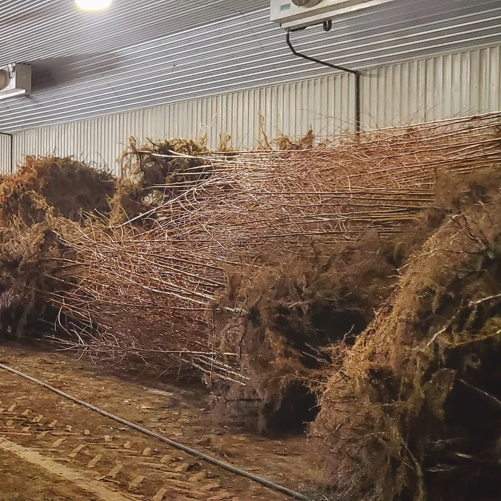 Winkelmolen Nursery | 148 Lynden Rd, Lynden, ON L0R 1T0, Canada | Phone: (519) 647-3912