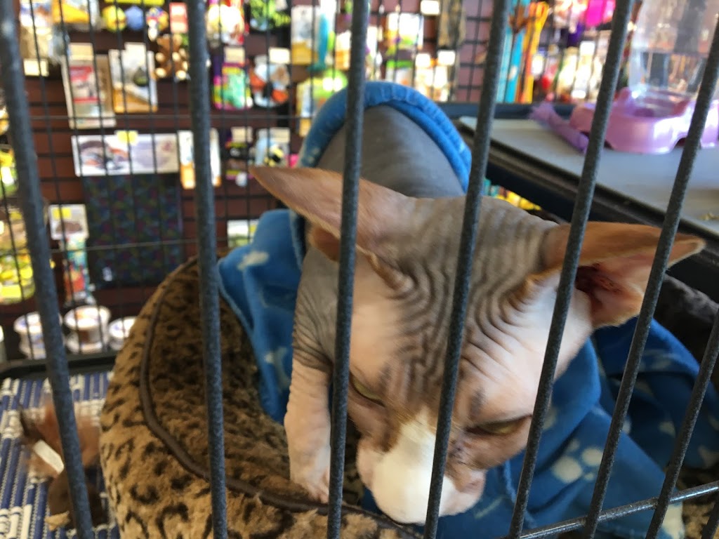 Pet Valu | 4410 48 St, Stony Plain, AB T7Z 1L4, Canada | Phone: (780) 963-1207
