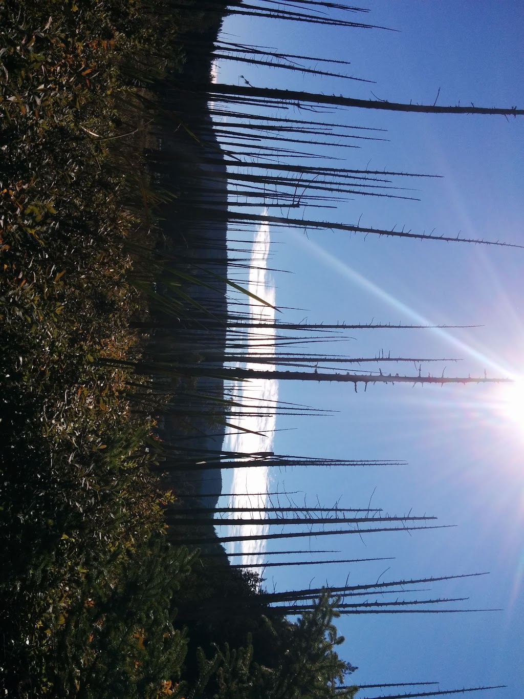 Xenia Labyrinth | 1401 Fernie Rd, Bowen Island, BC V0N 1G2, Canada | Phone: (604) 947-9816
