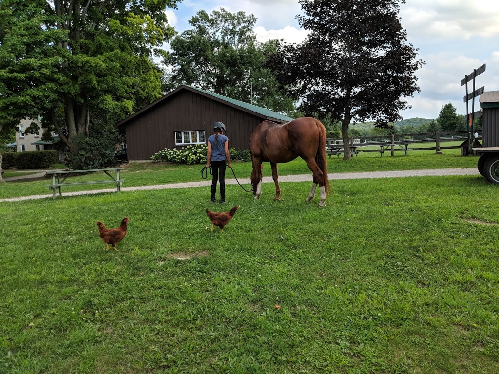 Glen Oro Farm | 2574 10 Line N, Hawkestone, ON L0L 1T0, Canada | Phone: (705) 326-7244