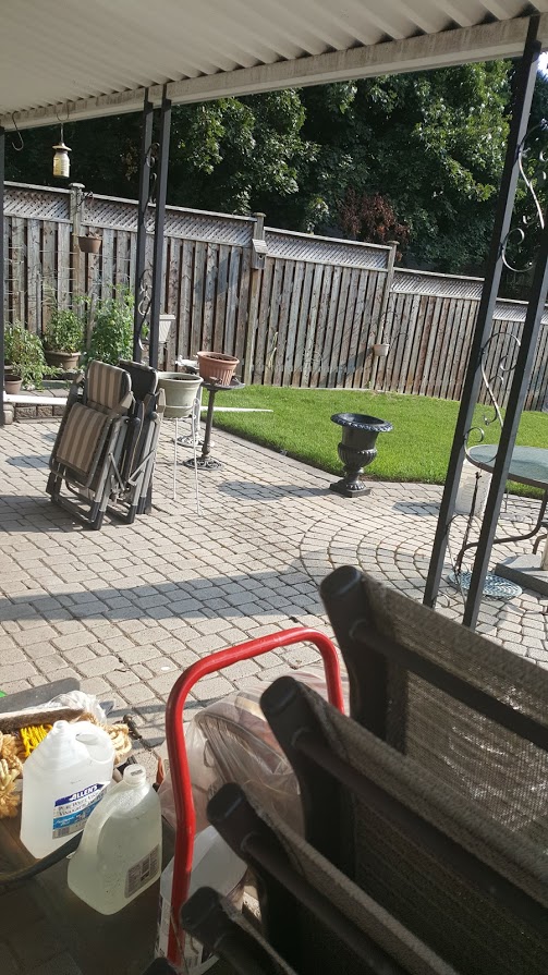 HouseLife Services -Estate Clearing, Senior Downsizing, Packing, | 30 Millburn Dr, Etobicoke, ON M9B 2W9, Canada | Phone: (647) 544-7667