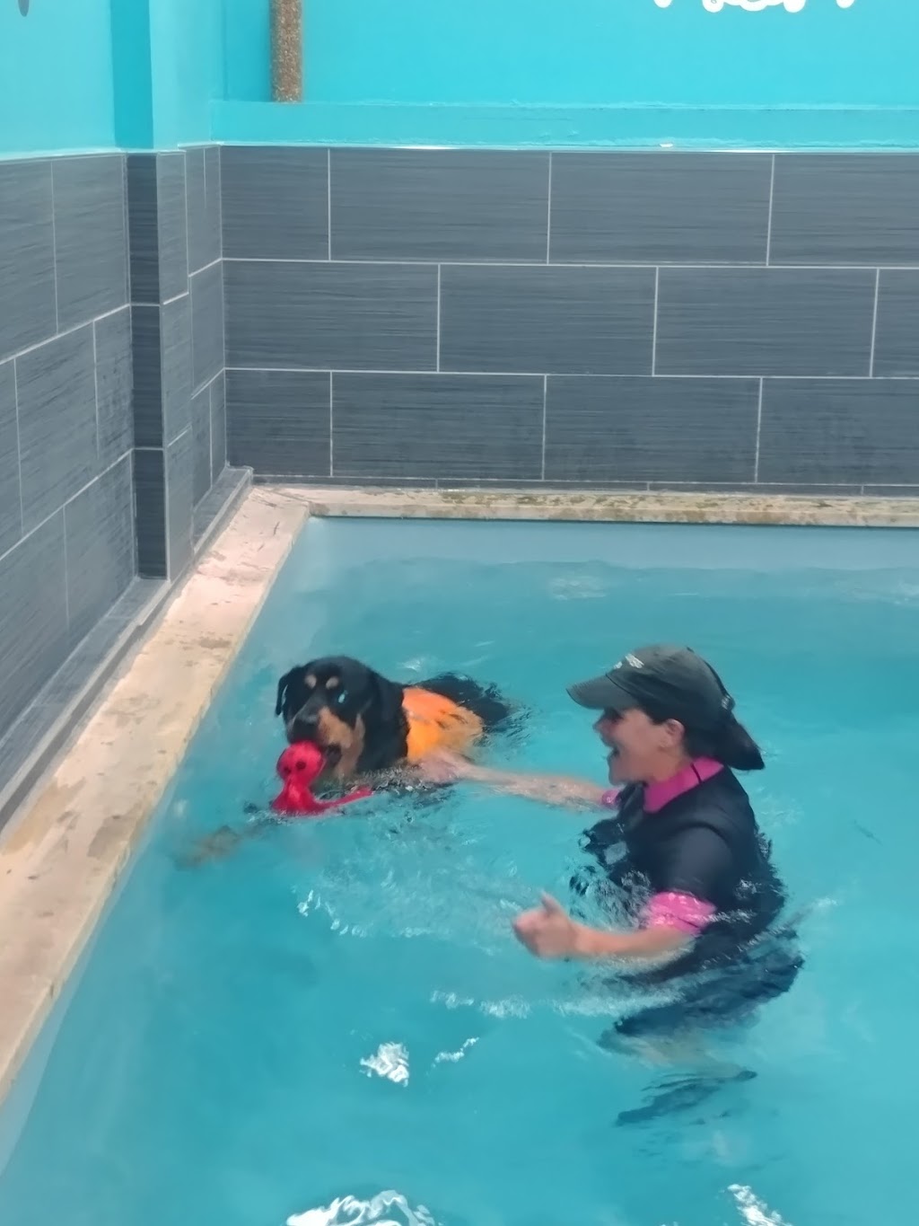 Paws Swim Therapy | 180 Parsons Rd, Alliston, ON L9R 1E8, Canada | Phone: (705) 440-3647