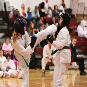 Paladin Taekwon-Do | 6 Tache St, St. Albert, AB T8N 2S4, Canada | Phone: (780) 907-2474