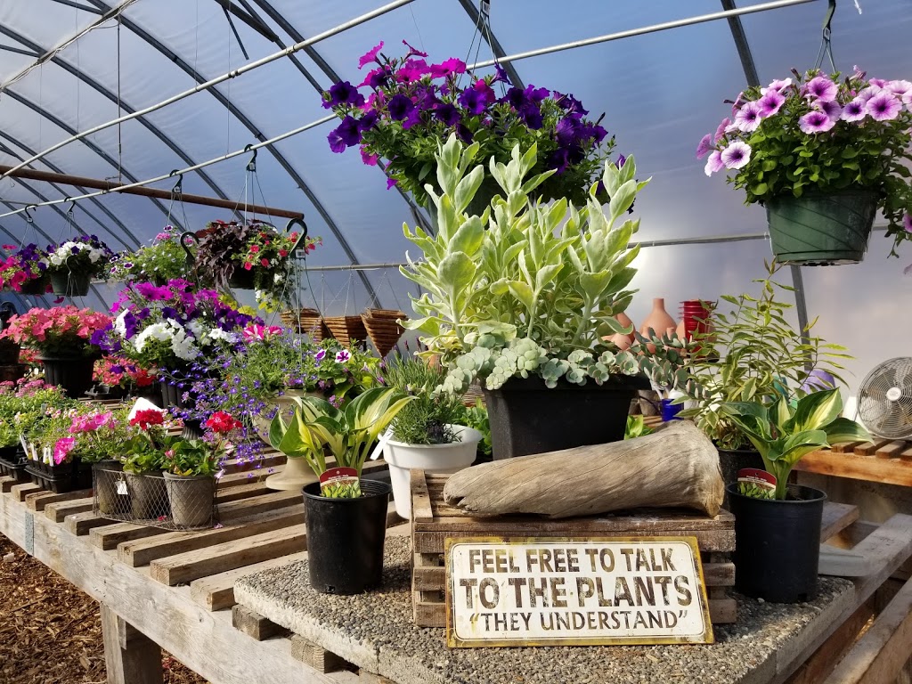 Halfmoon Bay Nursery | 7820 Fawn Rd, Halfmoon Bay, BC V0N 1Y1, Canada | Phone: (604) 885-2760