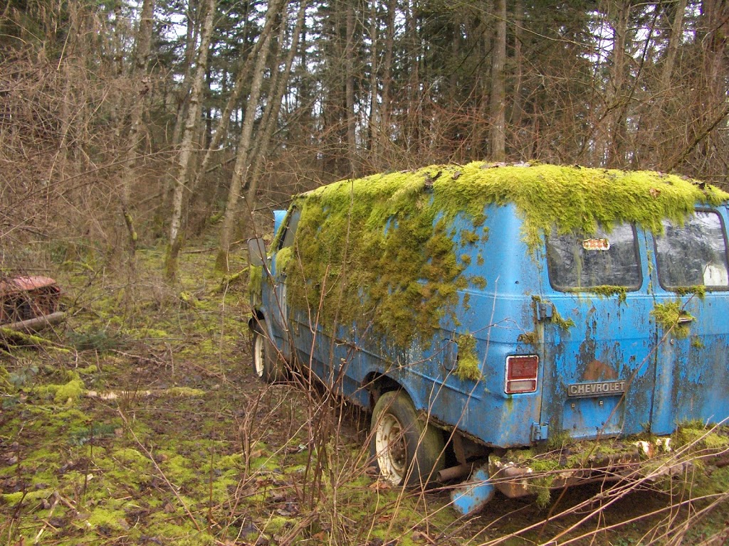 Bear Lake Salvage | canada, 4589 Lanes Rd, Cowichan Bay, BC V0R 1N2, Canada | Phone: (250) 710-7278