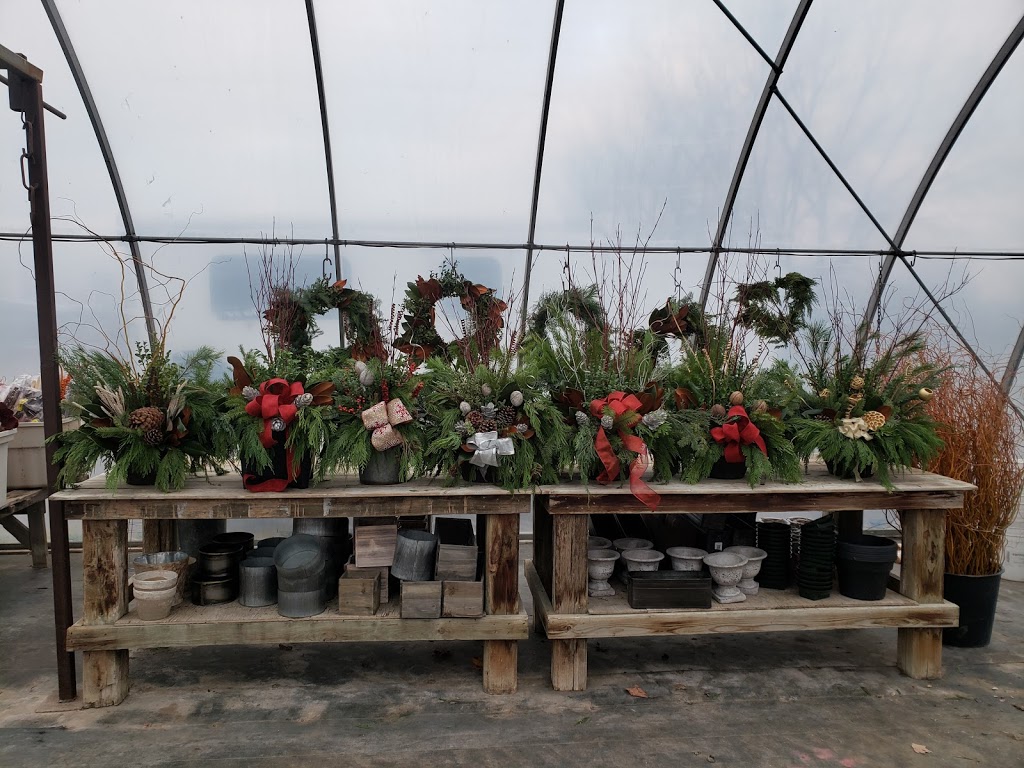 The Flowershed | 12336 Nassagaweya–Esquesing Townline RR #1, Acton, ON L7J 2L7, Canada | Phone: (905) 580-0070