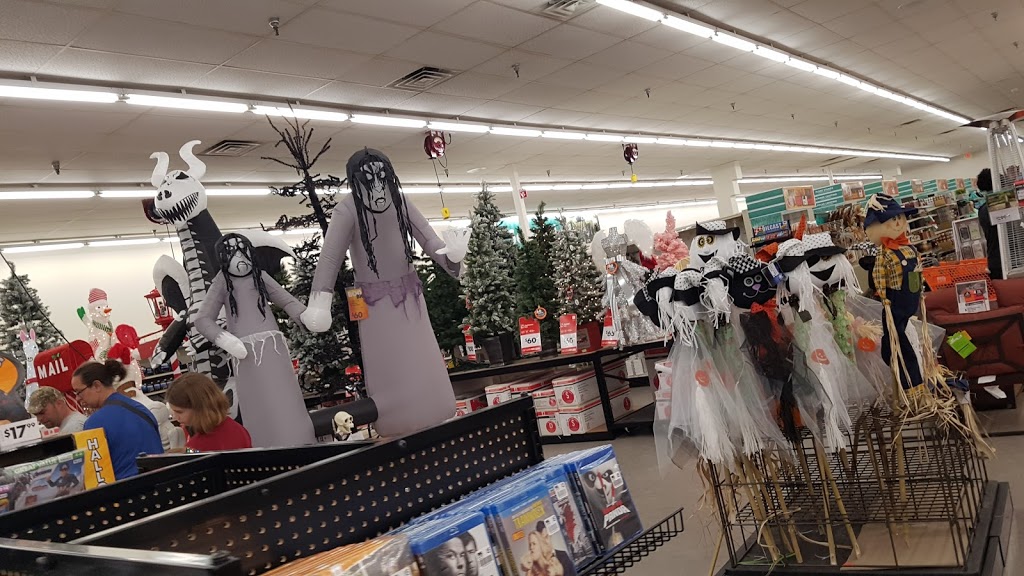 Big Lots | 698 S Ogden St, Buffalo, NY 14206, USA | Phone: (716) 827-4860