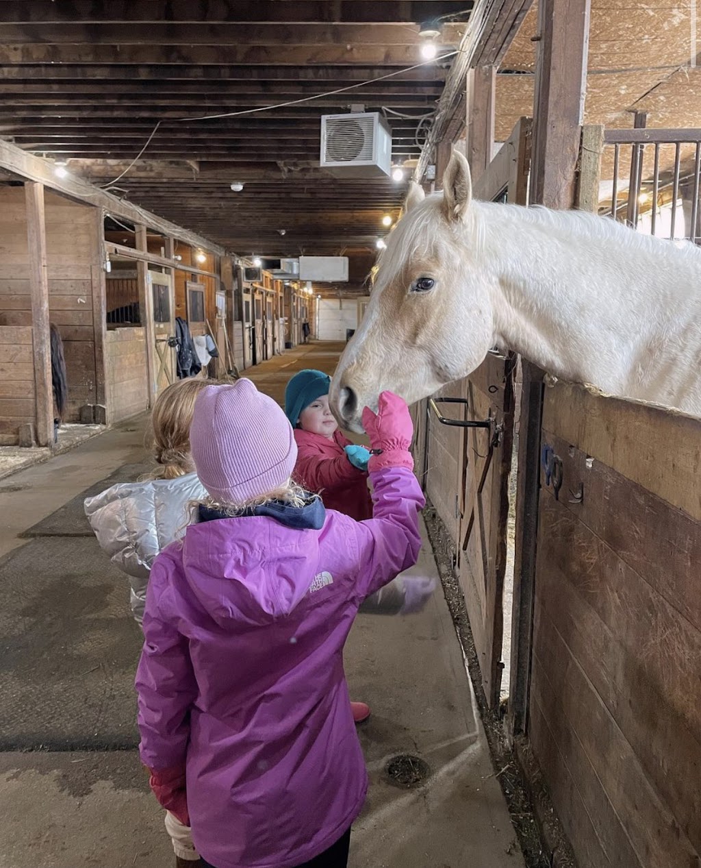Meadow Green Stables | 1727 Loudoun Rd, Winnipeg, MB R3S 1A3, Canada | Phone: (204) 895-1911
