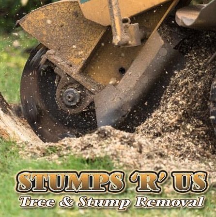 Stumps R Us | 220 Edward St, St Thomas, ON N5P 1Z5, Canada | Phone: (519) 854-8991