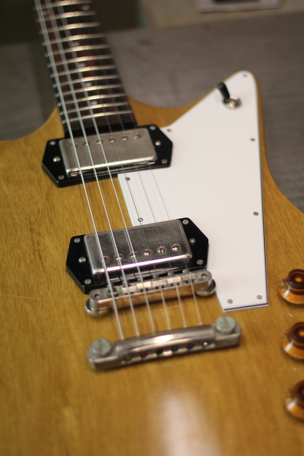 Frank Brothers Guitar Company | 21 B Carlaw Ave, Toronto, ON M4M 2R6, Canada | Phone: (647) 479-8023